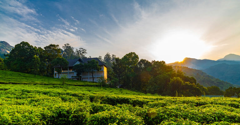 Tea Harvester Resort Munnar