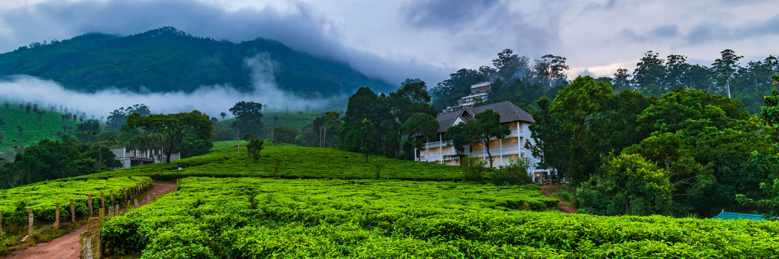 Tea Harvester Resort Munnar